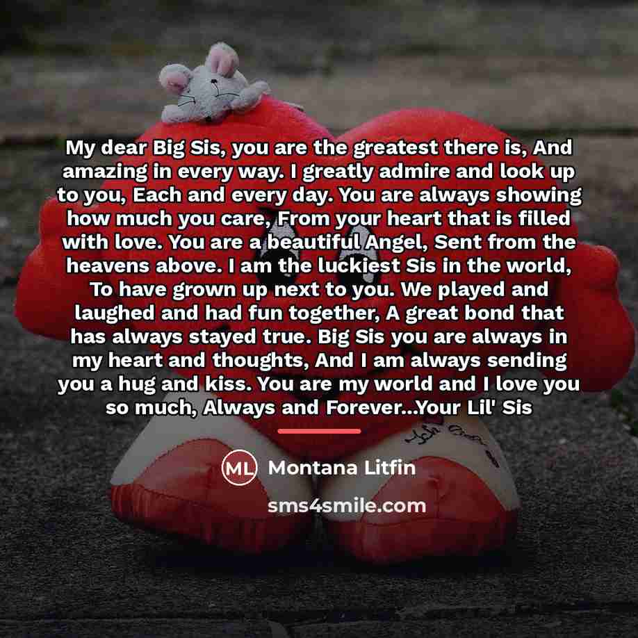 “My dear Big Sis, you are the greatest there is,…” quote by Montana Litfin