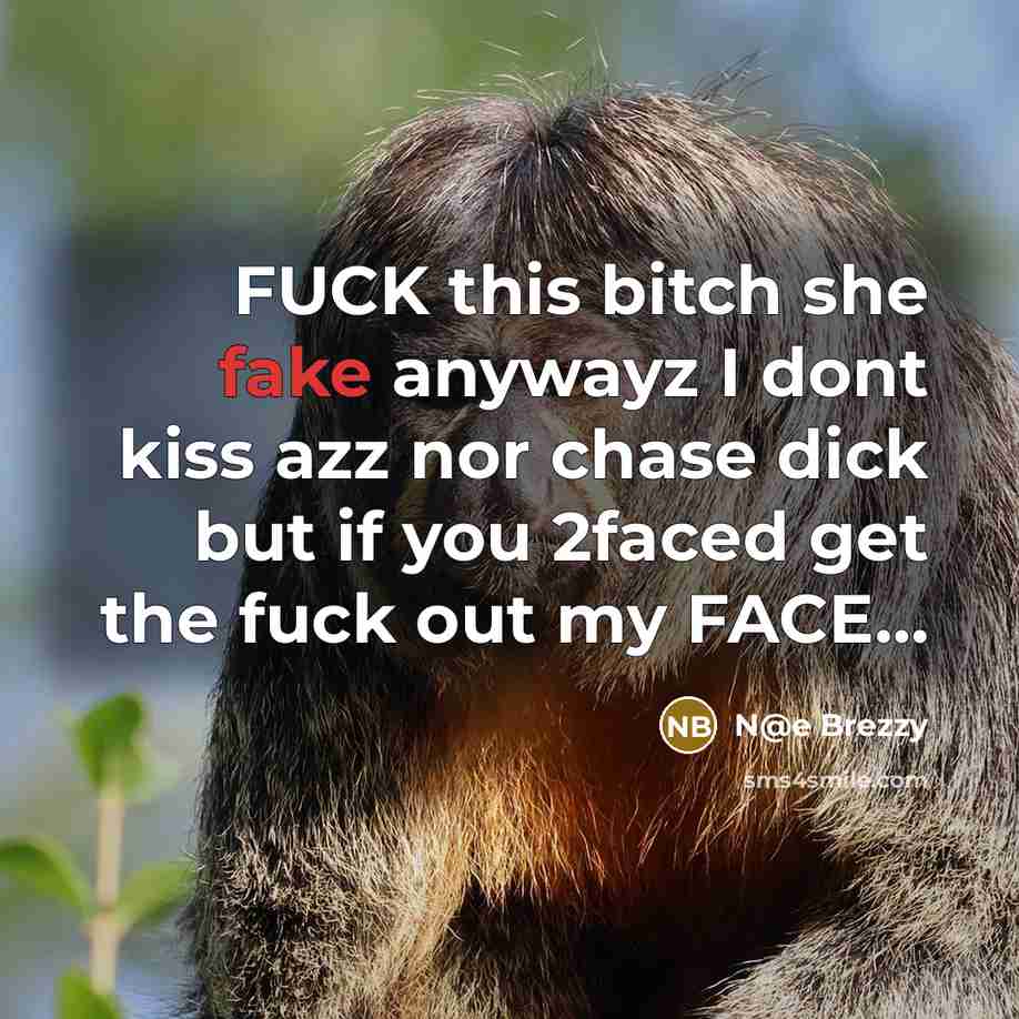 “FUCK this bitch she fake anywayz I dont kiss azz nor chase dick but if you 2faced get the fuck out my FACE…” quote by N@e Brezzy