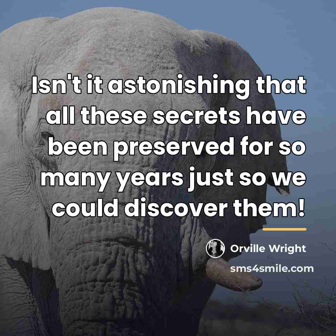 “Isn't it astonishing that all these secrets have been preserved…” quote by Orville Wright