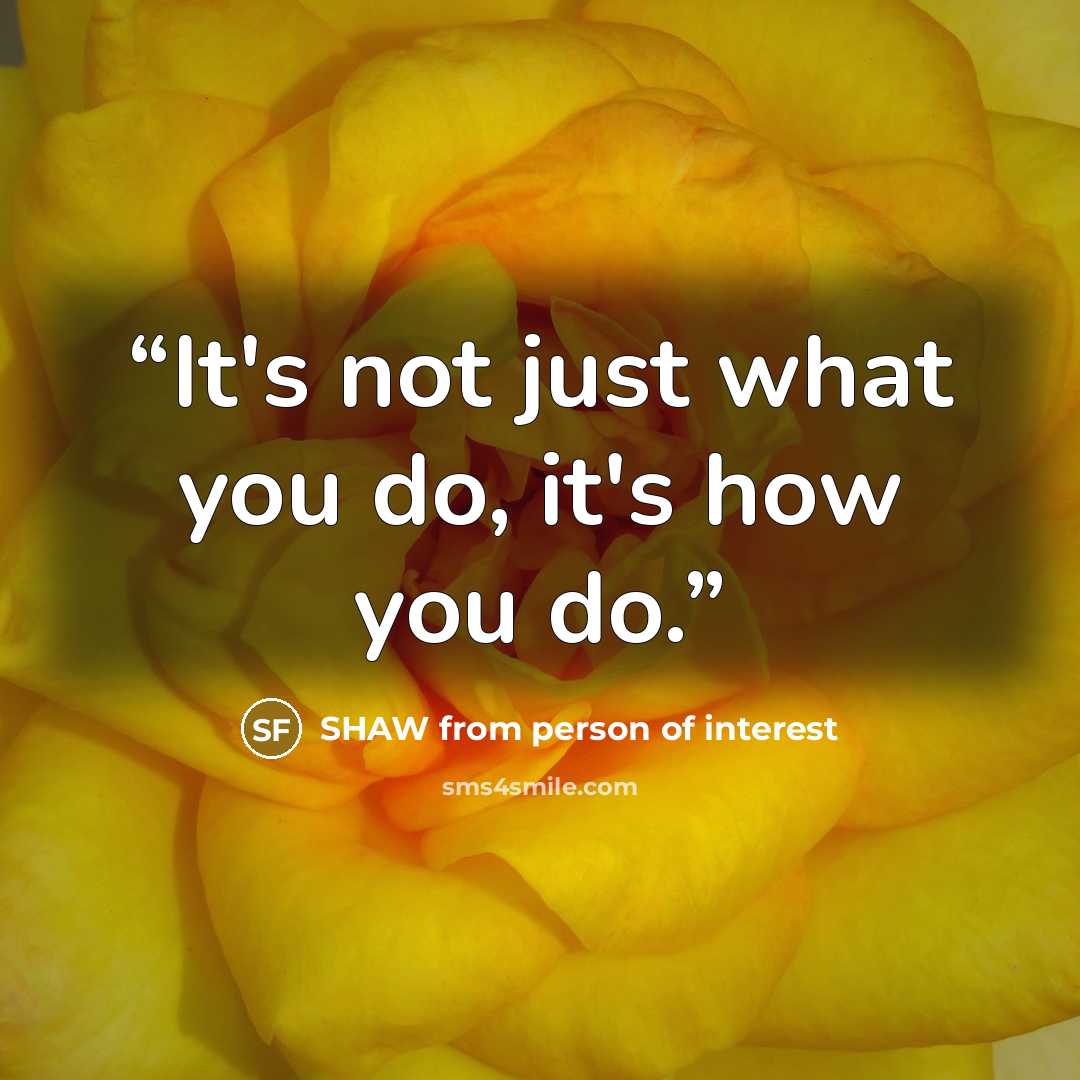 “It's not just what you do, it's how you do.” quote by SHAW from person of interest