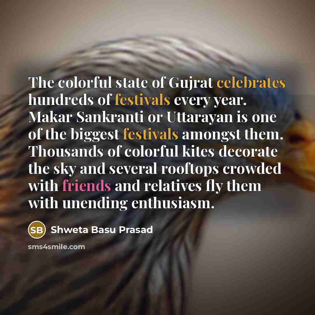 “The colorful state of Gujrat celebrates hundreds of festivals every…” quote by Shweta Basu Prasad
