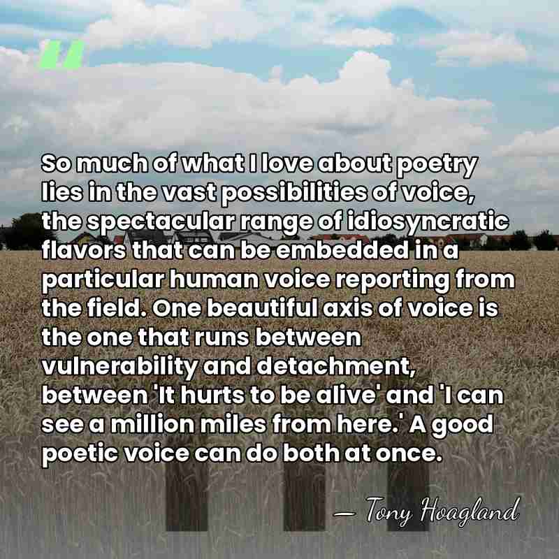 So much of what I love about poetry lies in the vast&hellip; - Tony Hoagland