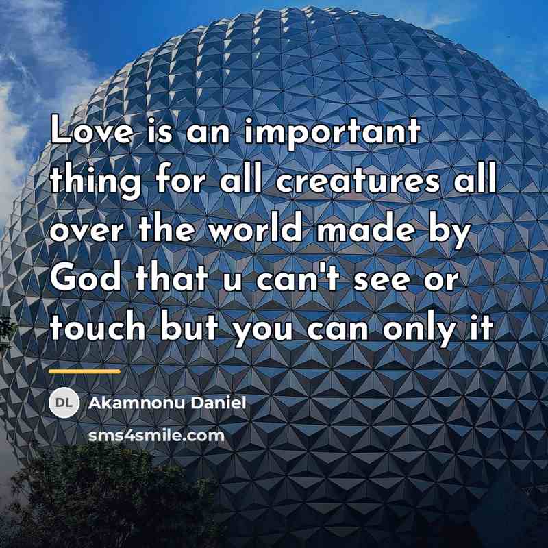 “Love is an important thing for all creatures all over…” quote by Akamnonu Daniel
