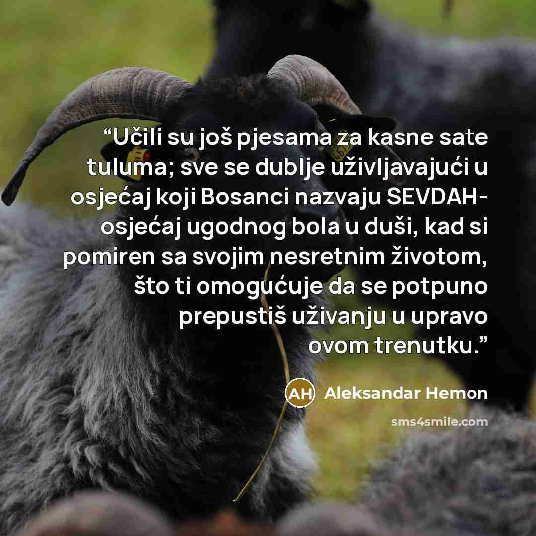 “Učili su još pjesama za kasne sate tuluma; sve se dublje uživljavajući u osjećaj koji Bosanci nazvaju SEVDAH- osjećaj ugodnog bola u duši, kad si pomiren sa svojim nesretnim životom, što ti omogućuje da se potpuno prepustiš uživanju u upravo ovom trenutku.” quote by Aleksandar Hemon