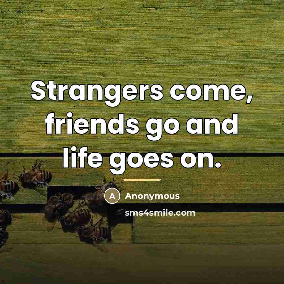 “Strangers come, friends go and life goes on.…” quote by Anonymous