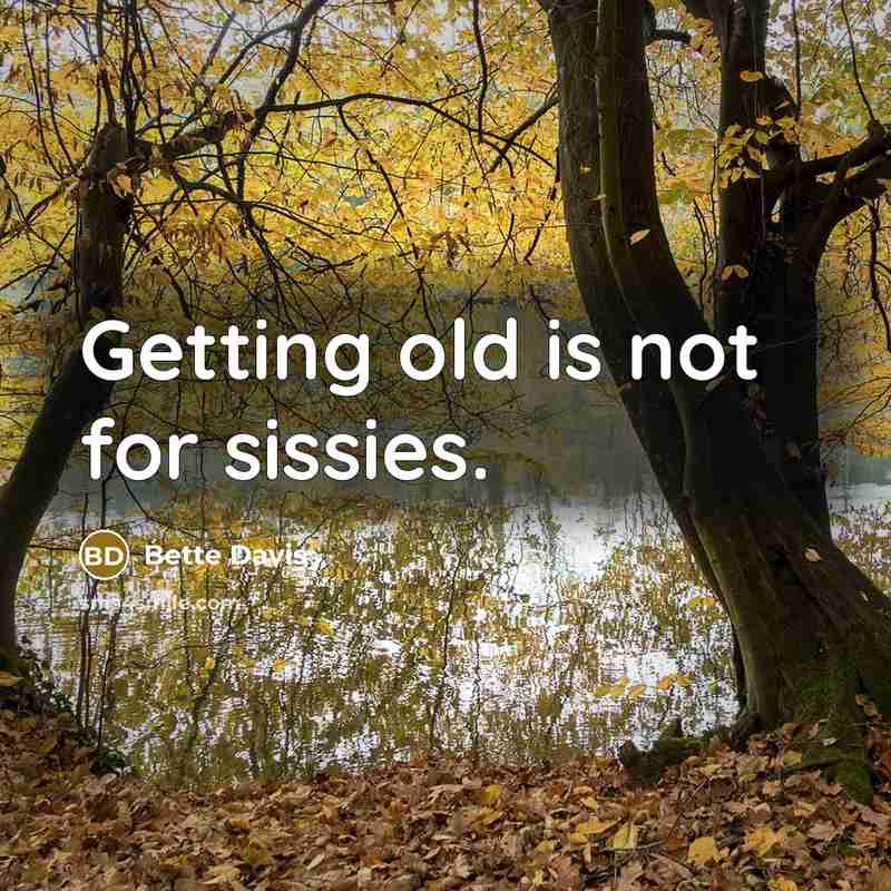 “Getting old is not for sissies.” quote by Bette Davis