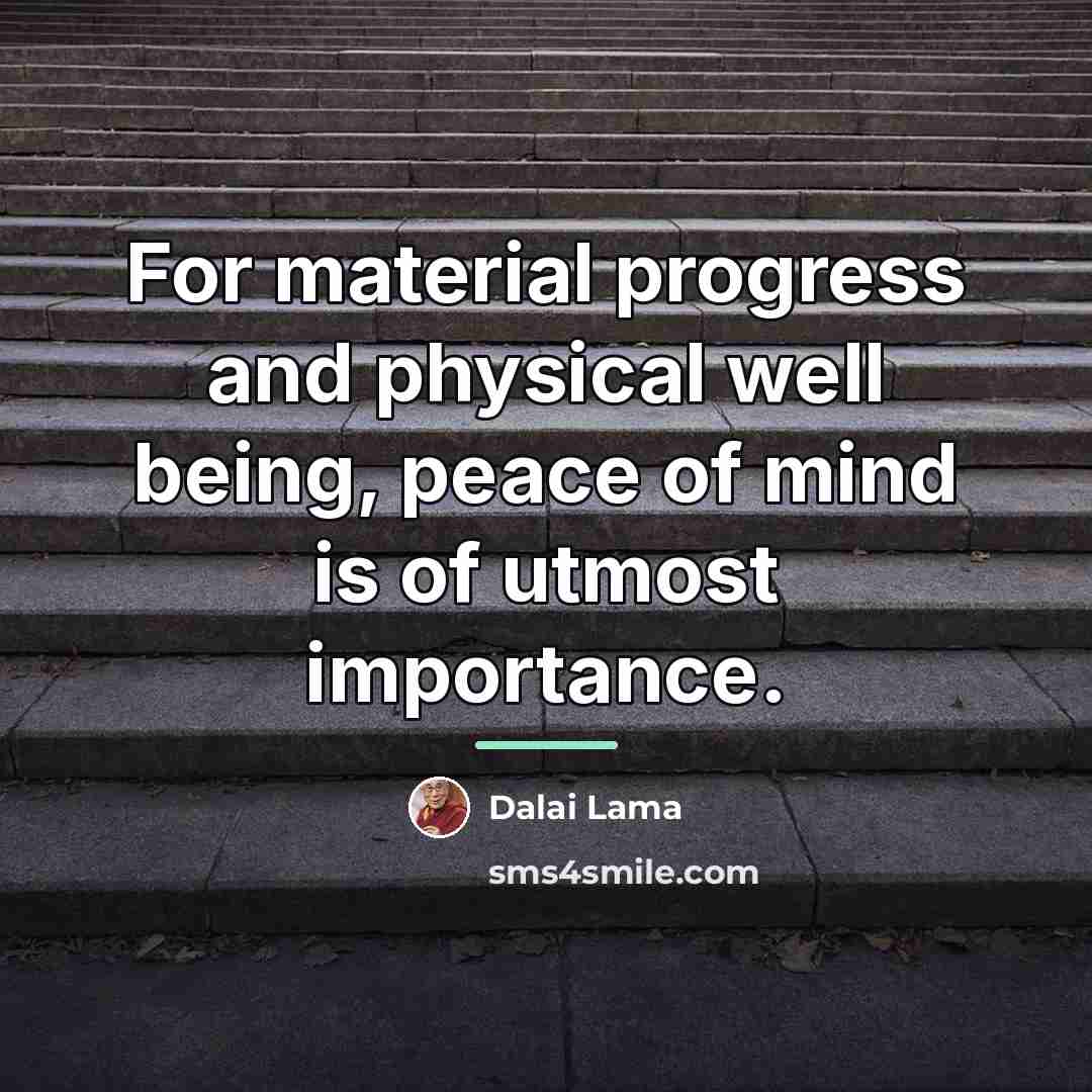 “For material progress and physical well being, peace of mind…” quote by Dalai Lama