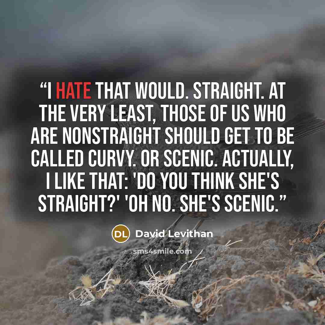 “I hate that would. Straight. At the very least, those of us who are nonstraight should get to be called curvy. Or scenic. Actually, I like that: 'Do you think she's straight?' 'Oh no. She's scenic.” quote by David Levithan