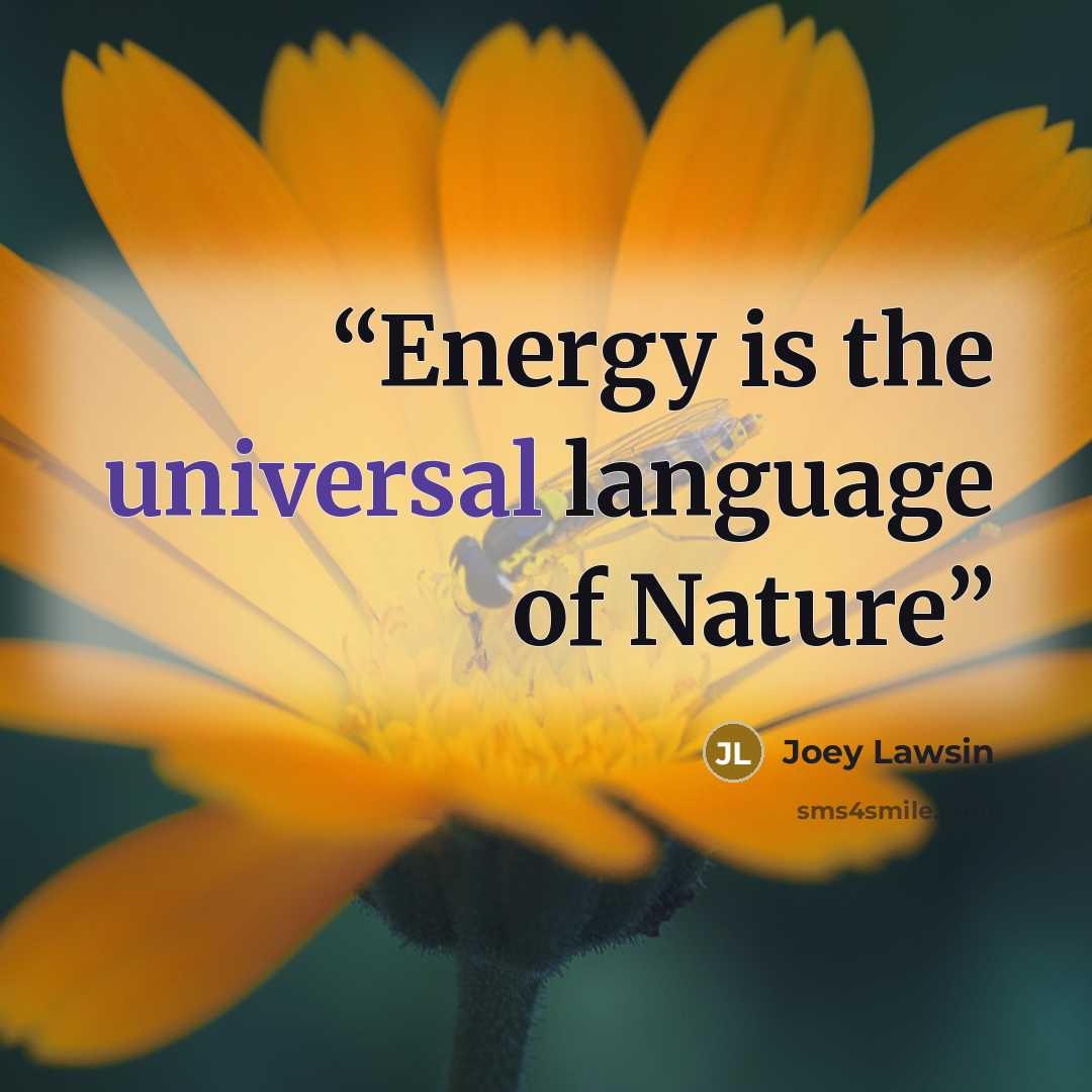 “Energy is the universal language of Nature” quote by Joey Lawsin