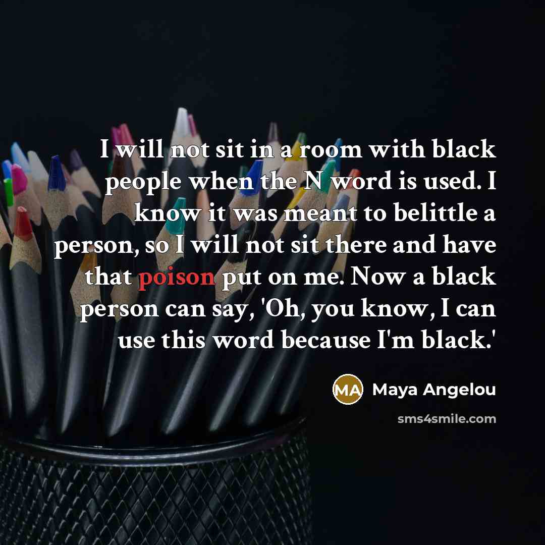 “I will not sit in a room with black people…” quote by Maya Angelou