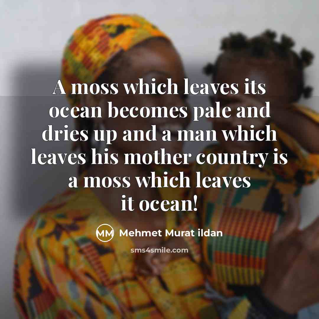 “A moss which leaves its ocean becomes pale and dries…” quote by Mehmet Murat Ildan