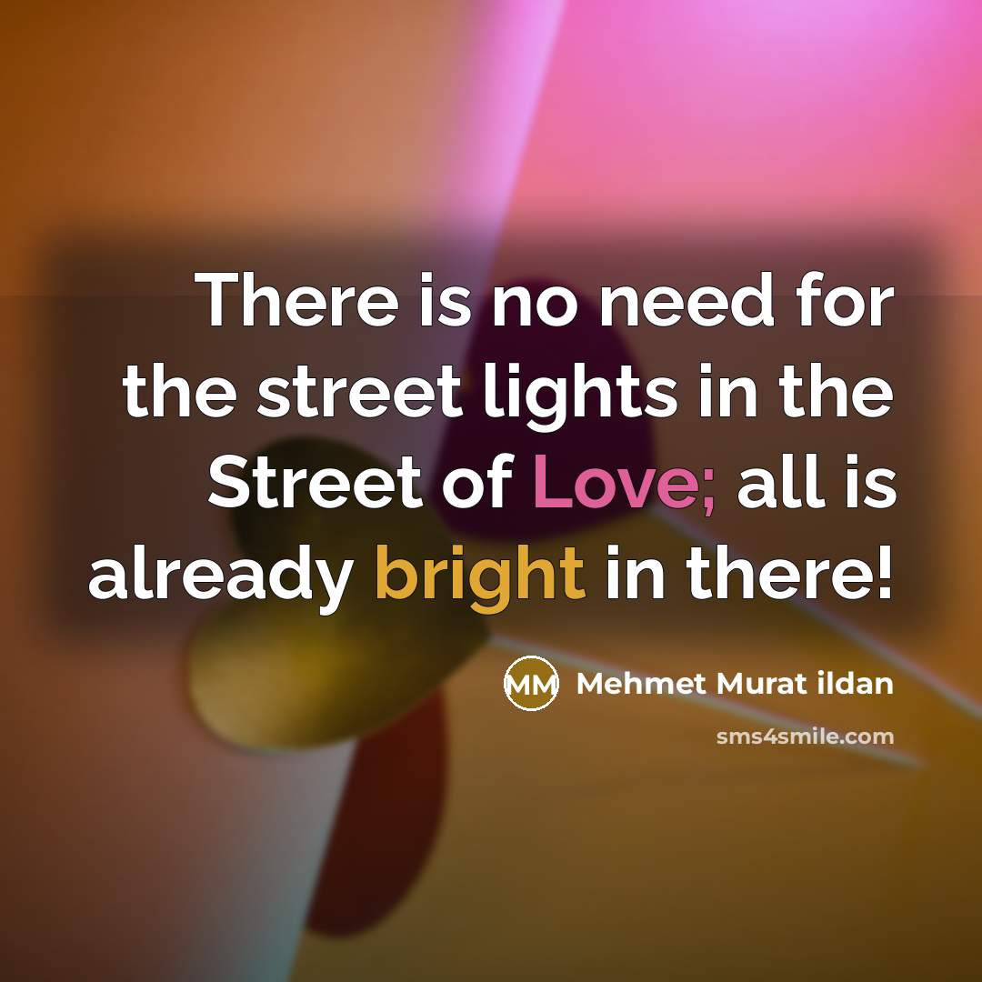 “There is no need for the street lights in the…” quote by Mehmet Murat Ildan