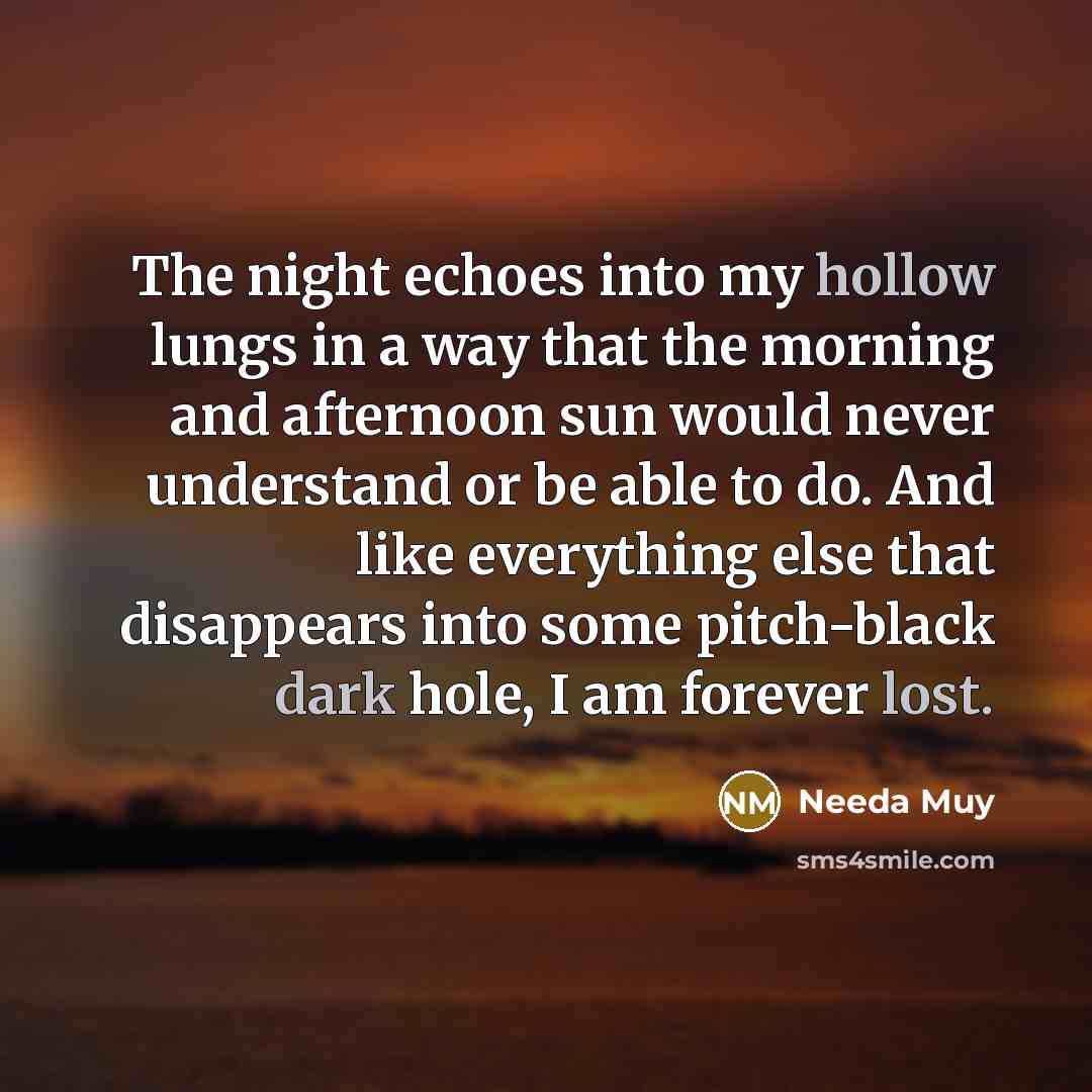 “The night echoes into my hollow lungs in a way that the morning and afternoon sun would never understand or be able to do. And like everything else that disappears into some pitch-black dark hole, I am forever lost.” quote by Needa Muy