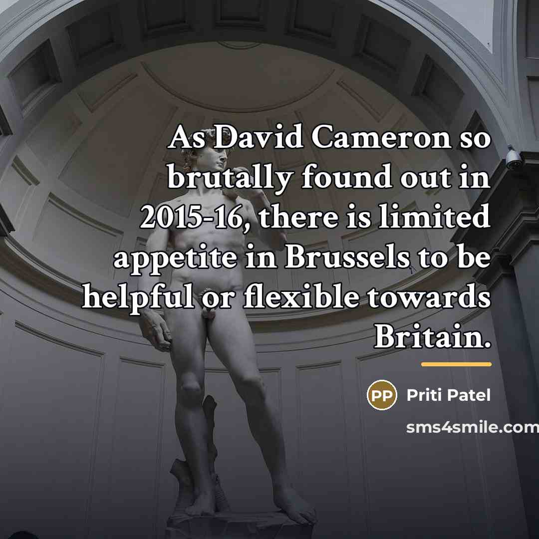 “As David Cameron so brutally found out in 2015-16, there…” quote by Priti Patel