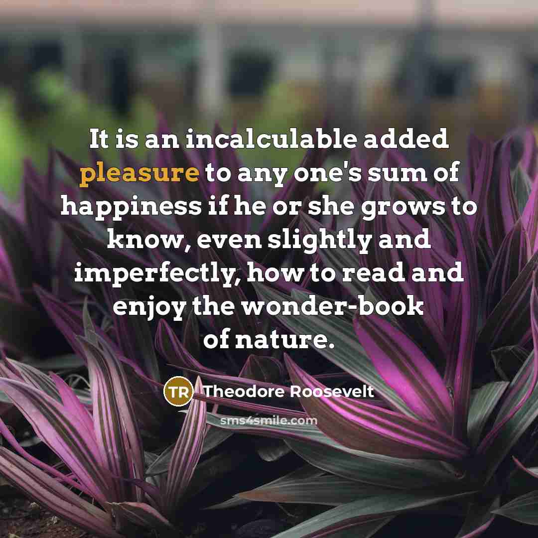 “It is an incalculable added pleasure to any one's sum…” quote by Theodore Roosevelt