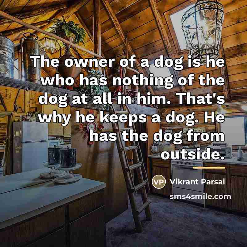 “The owner of a dog is he who has nothing…” quote by Vikrant Parsai