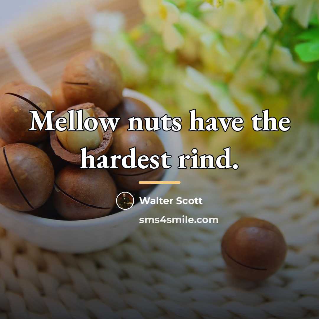 “Mellow nuts have the hardest rind.…” quote by Walter Scott