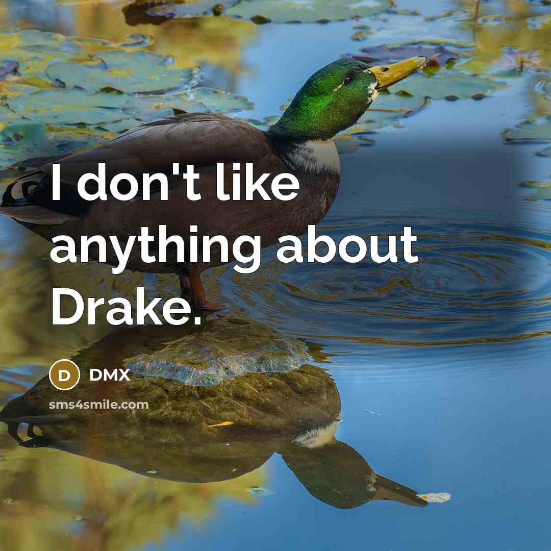 “I don't like anything about Drake.” quote by DMX