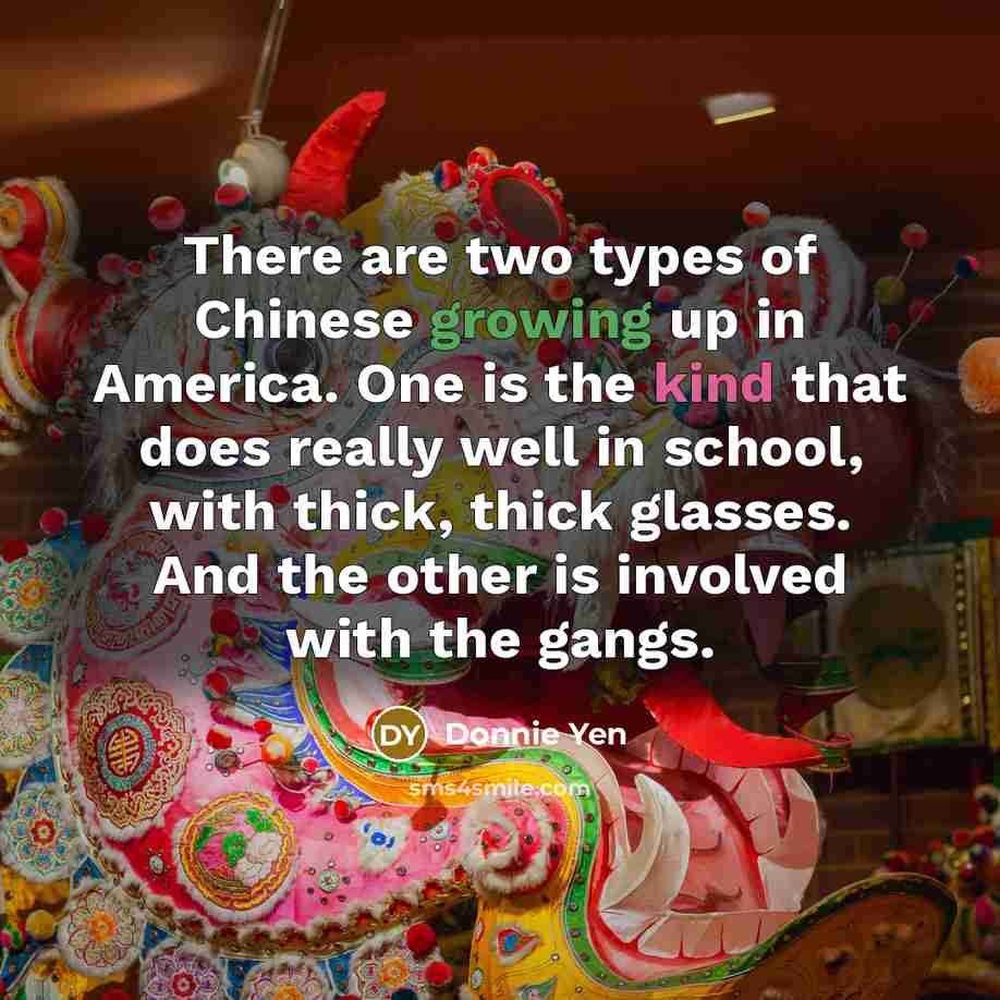“There are two types of Chinese growing up in America.…” quote by Donnie Yen