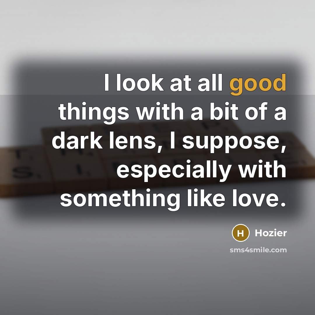 “I look at all good things with a bit of…” quote by Hozier