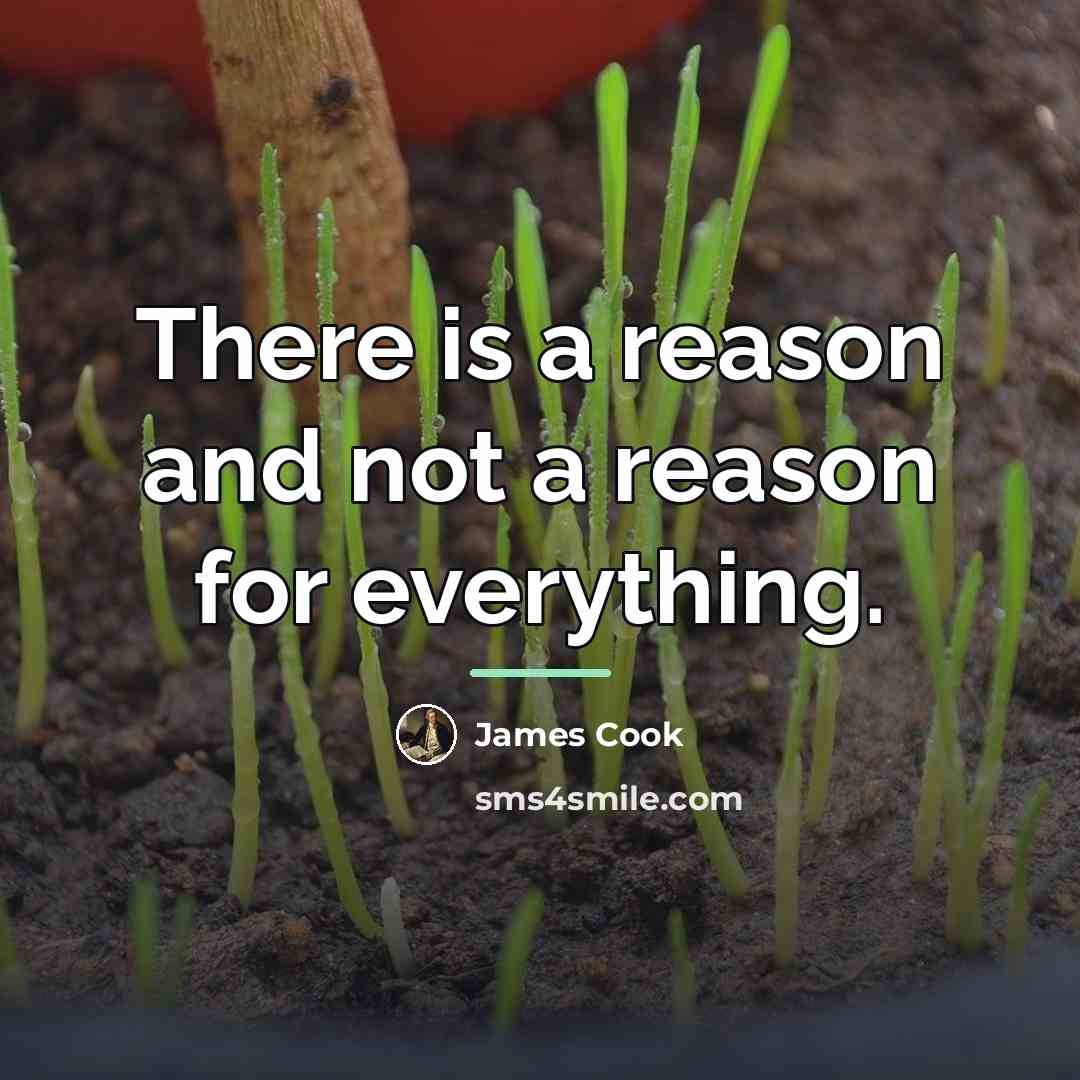 “There is a reason and not a reason for everything.…” quote by James Cook