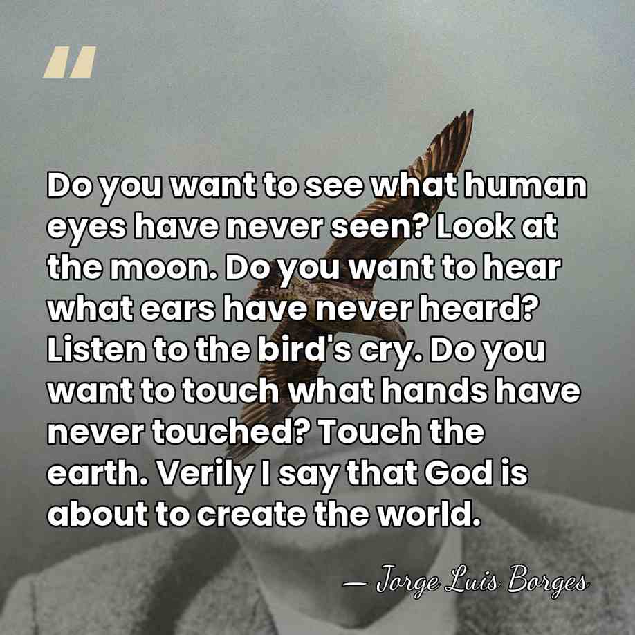Do you want to see what human eyes have never seen? Look&hellip; - Jorge Luis Borges