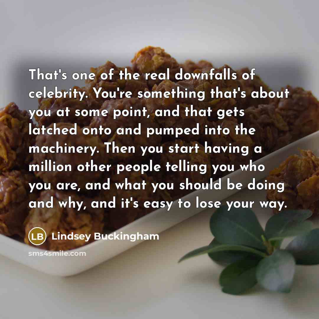 “That's one of the real downfalls of celebrity. You're something…” quote by Lindsey Buckingham