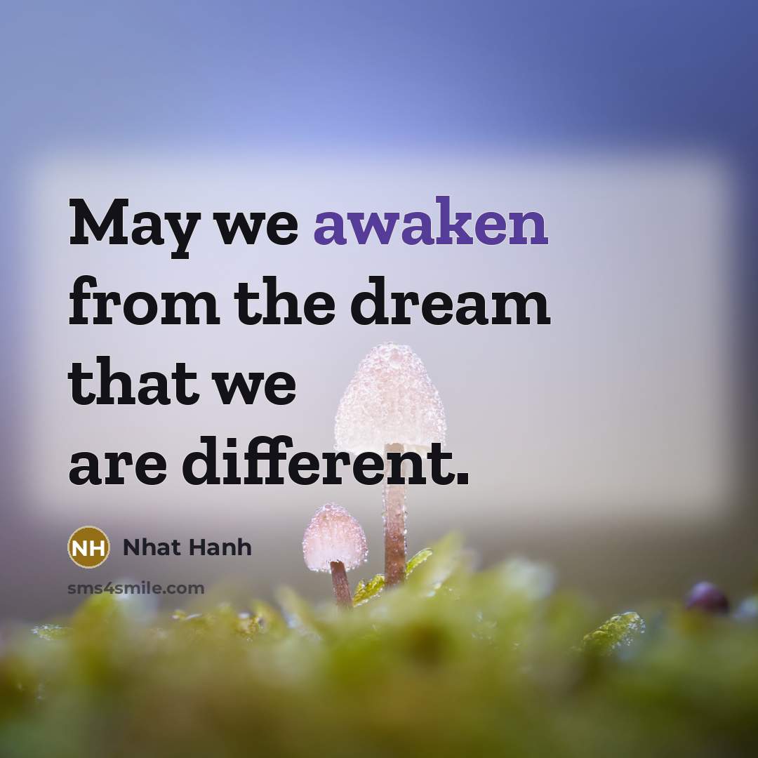 “May we awaken from the dream that we are different.…” quote by Nhat Hanh