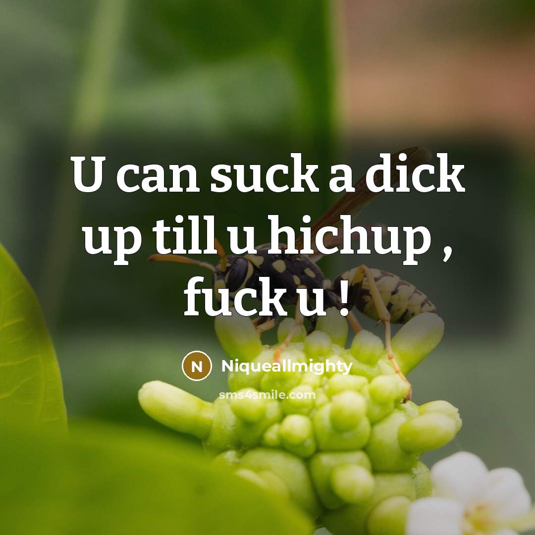 “U can suck a dick up till u hichup , fuck u !” quote by Niqueallmighty