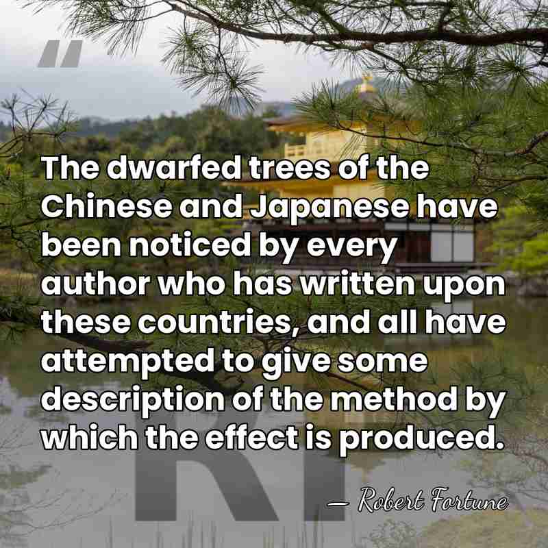 The dwarfed trees of the Chinese and Japanese have been noticed by&hellip; - Robert Fortune