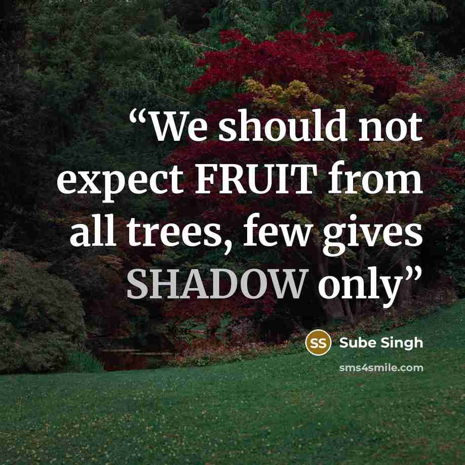 “We should not expect FRUIT from all trees, few gives SHADOW only” quote by Sube Singh