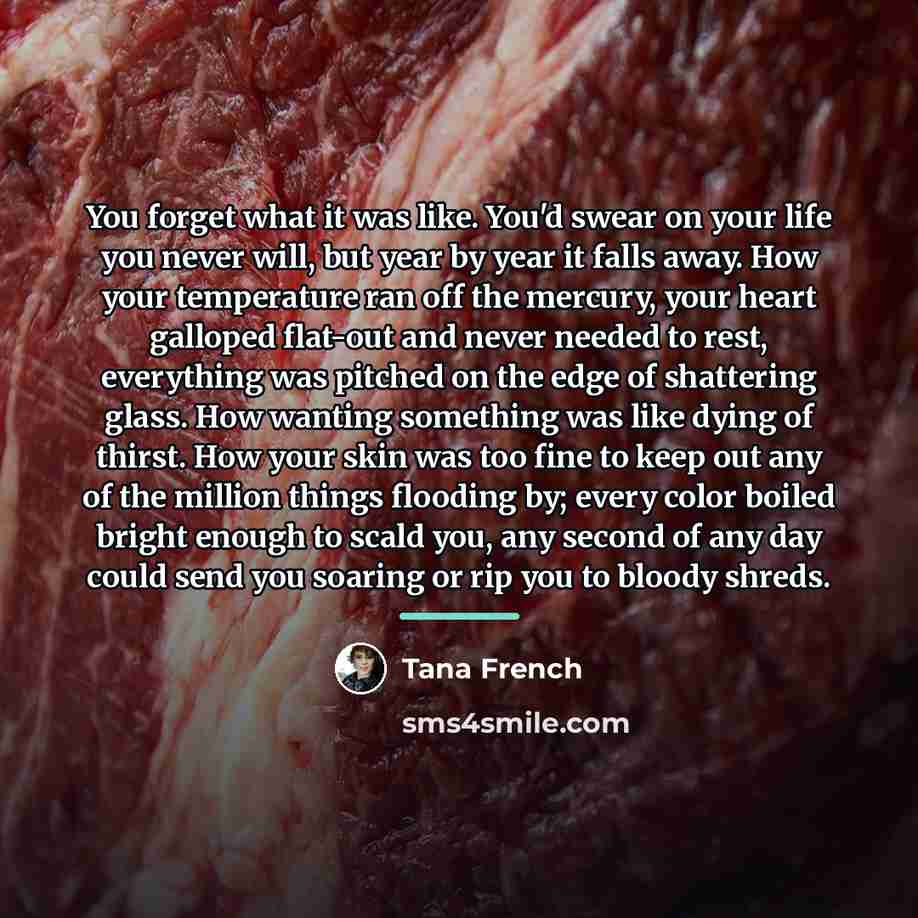 “You forget what it was like. You'd swear on your…” quote by Tana French