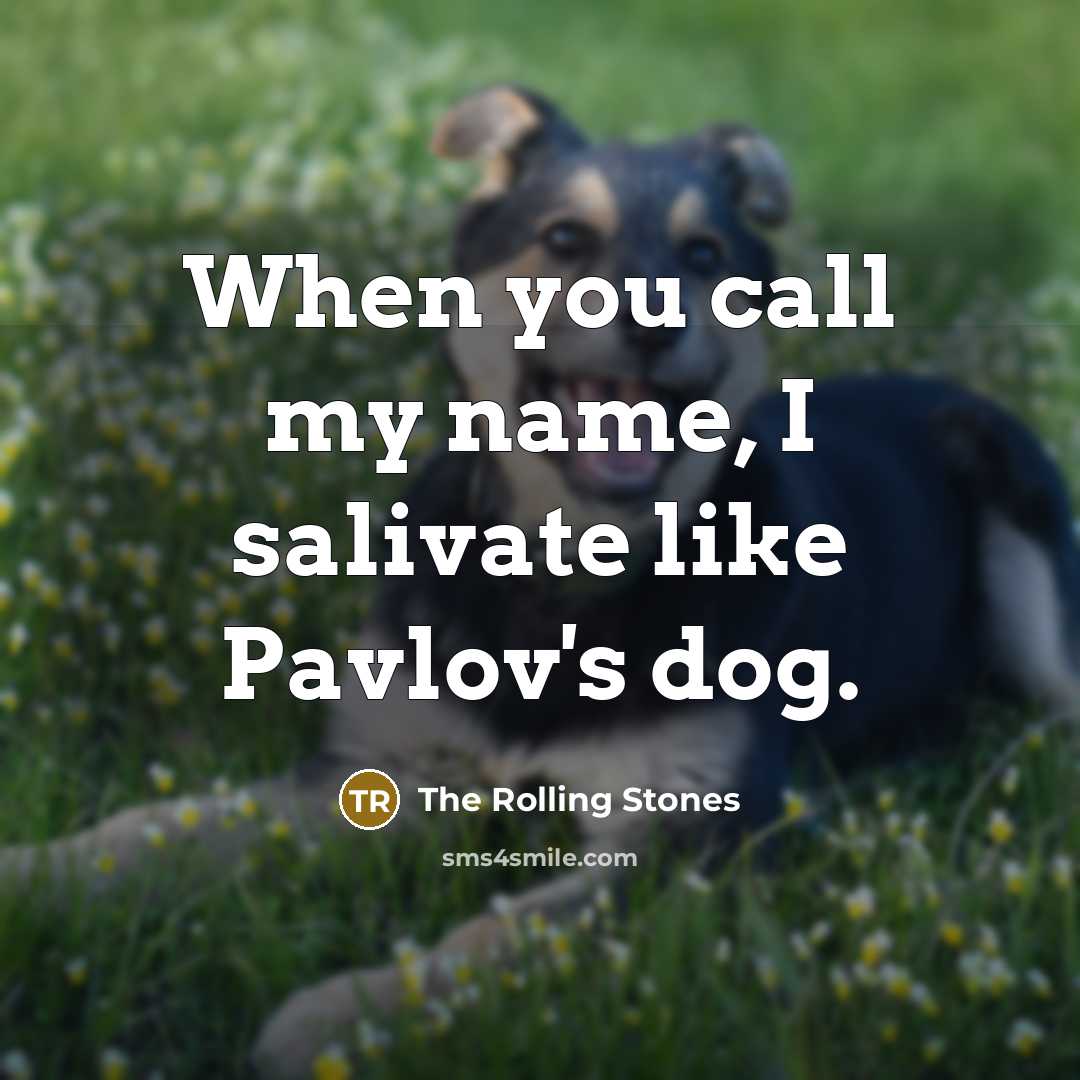 “When you call my name, I salivate like Pavlov's dog.” quote by The Rolling Stones