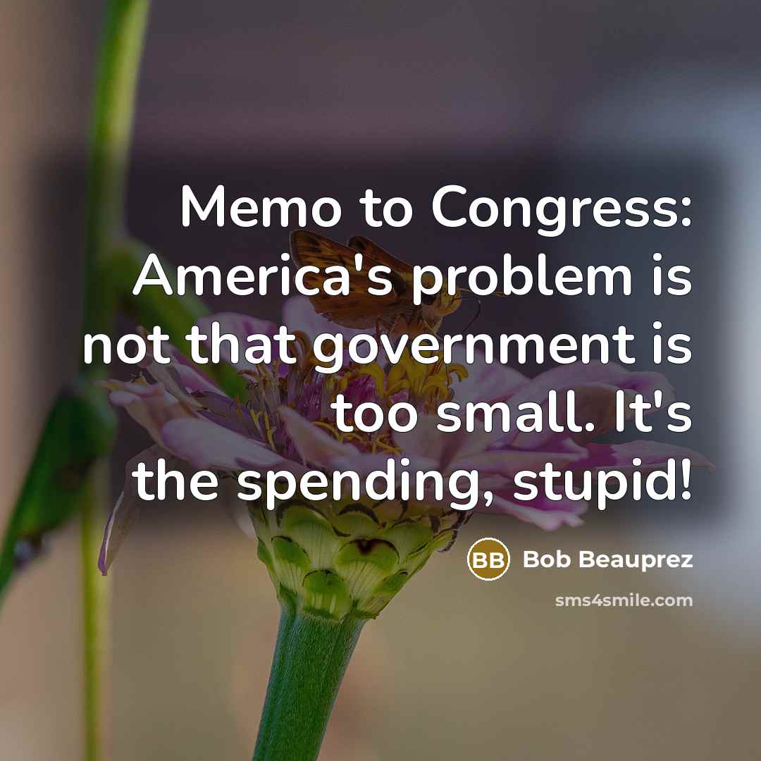 “Memo to Congress: America's problem is not that government is…” quote by Bob Beauprez