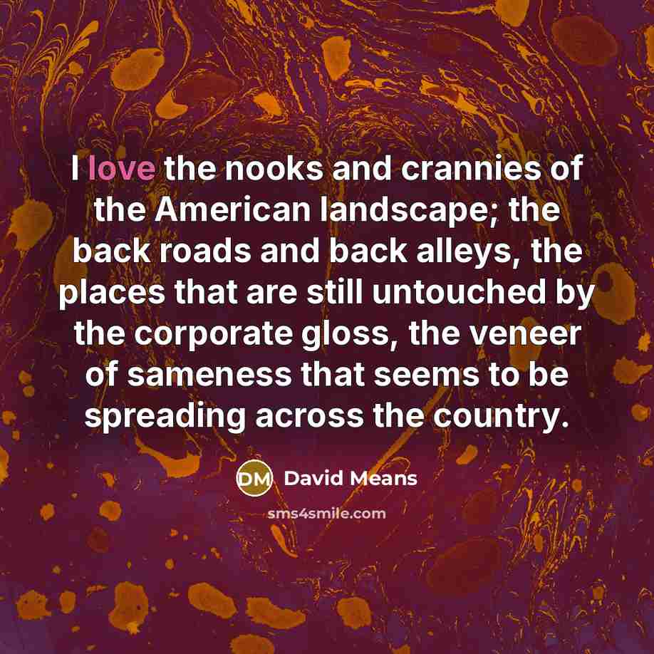 “I love the nooks and crannies of the American landscape;…” quote by David Means