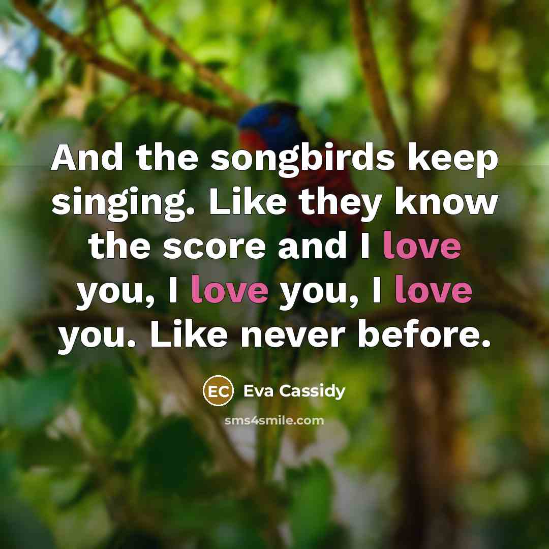 “And the songbirds keep singing. Like they know the score and I love you, I love you, I love you. Like never before.” quote by Eva Cassidy