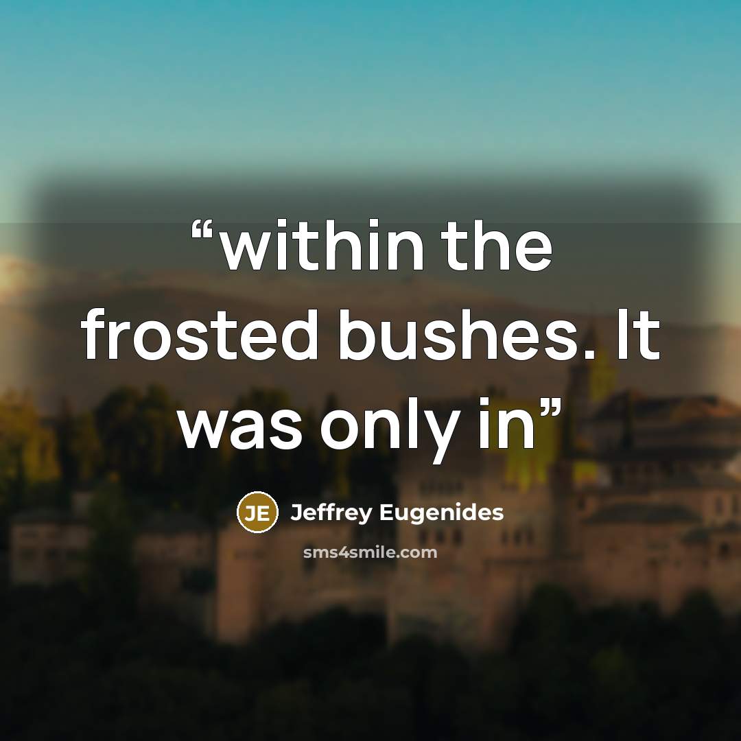 “within the frosted bushes. It was only in” quote by Jeffrey Eugenides