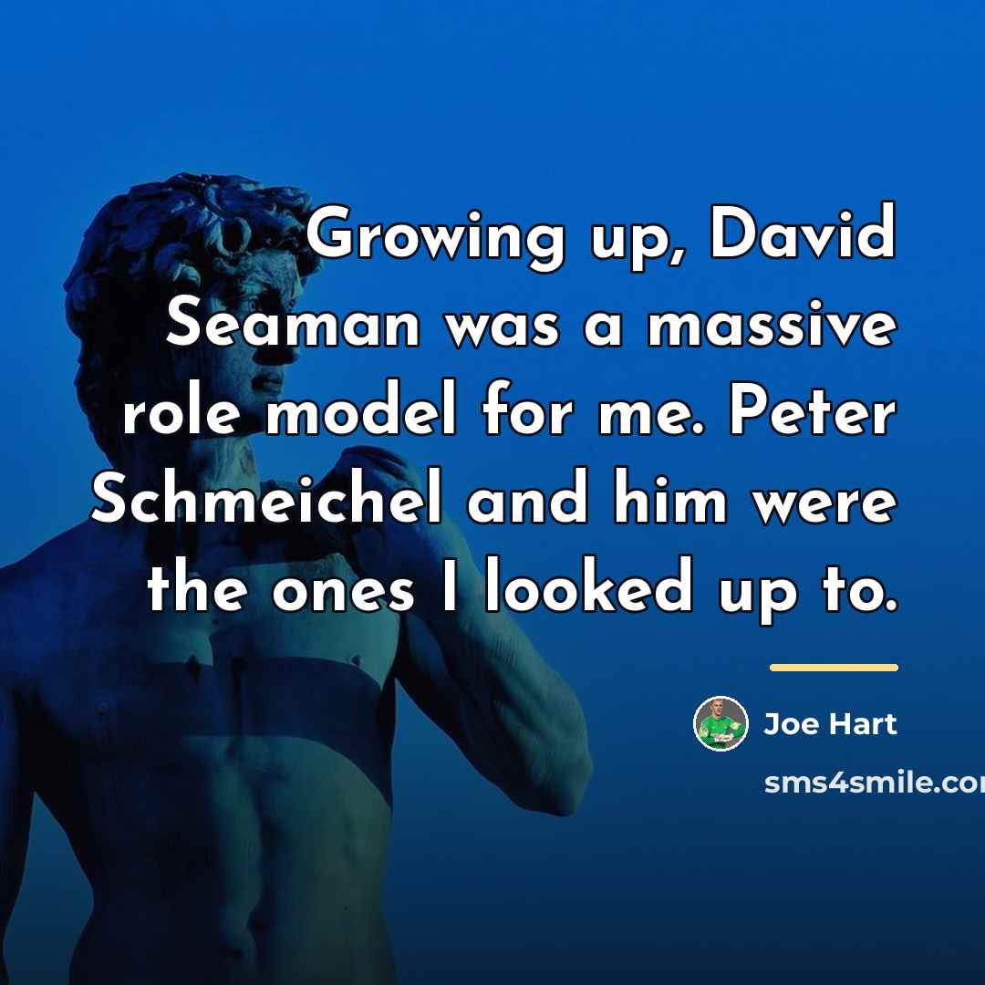 “Growing up, David Seaman was a massive role model for…” quote by Joe Hart