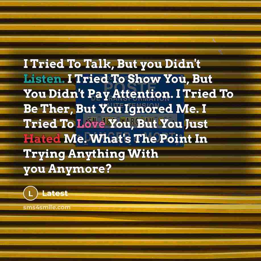 “I Tried To Talk, But you Didn't Listen. I Tried To Show You, But You Didn't Pay Attention. I Tried To Be Ther, But You Ignored Me. I Tried To Love You, But You Just Hated Me. What's The Point In Trying Anything With you Anymore?” quote by Latest