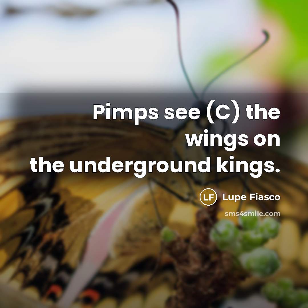 “Pimps see (C) the wings on the underground kings.…” quote by Lupe Fiasco