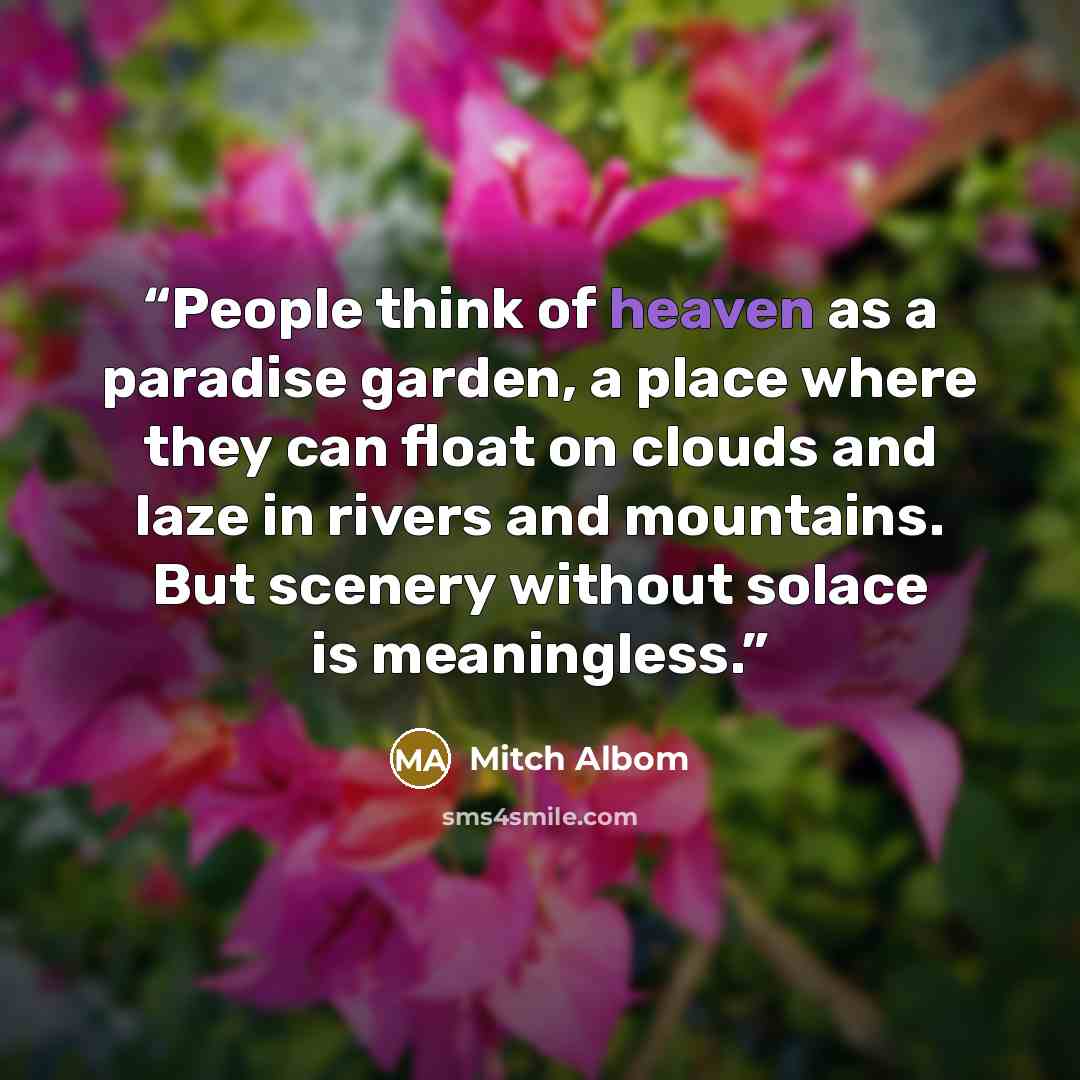 “People think of heaven as a paradise garden, a place where they can float on clouds and laze in rivers and mountains. But scenery without solace is meaningless.” quote by Mitch Albom