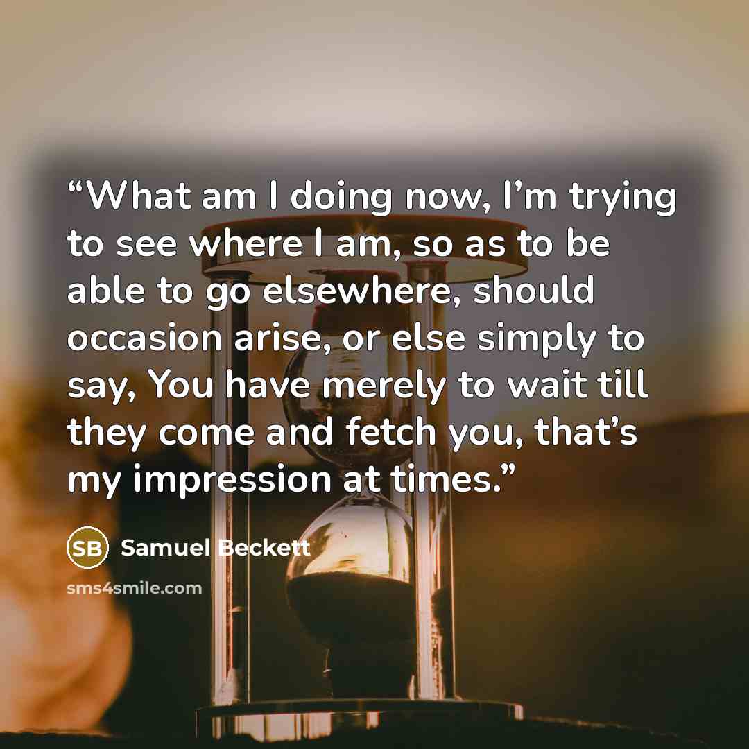 “What am I doing now, I’m trying to see where I am, so as to be able to go elsewhere, should occasion arise, or else simply to say, You have merely to wait till they come and fetch you, that’s my impression at times.” quote by Samuel Beckett