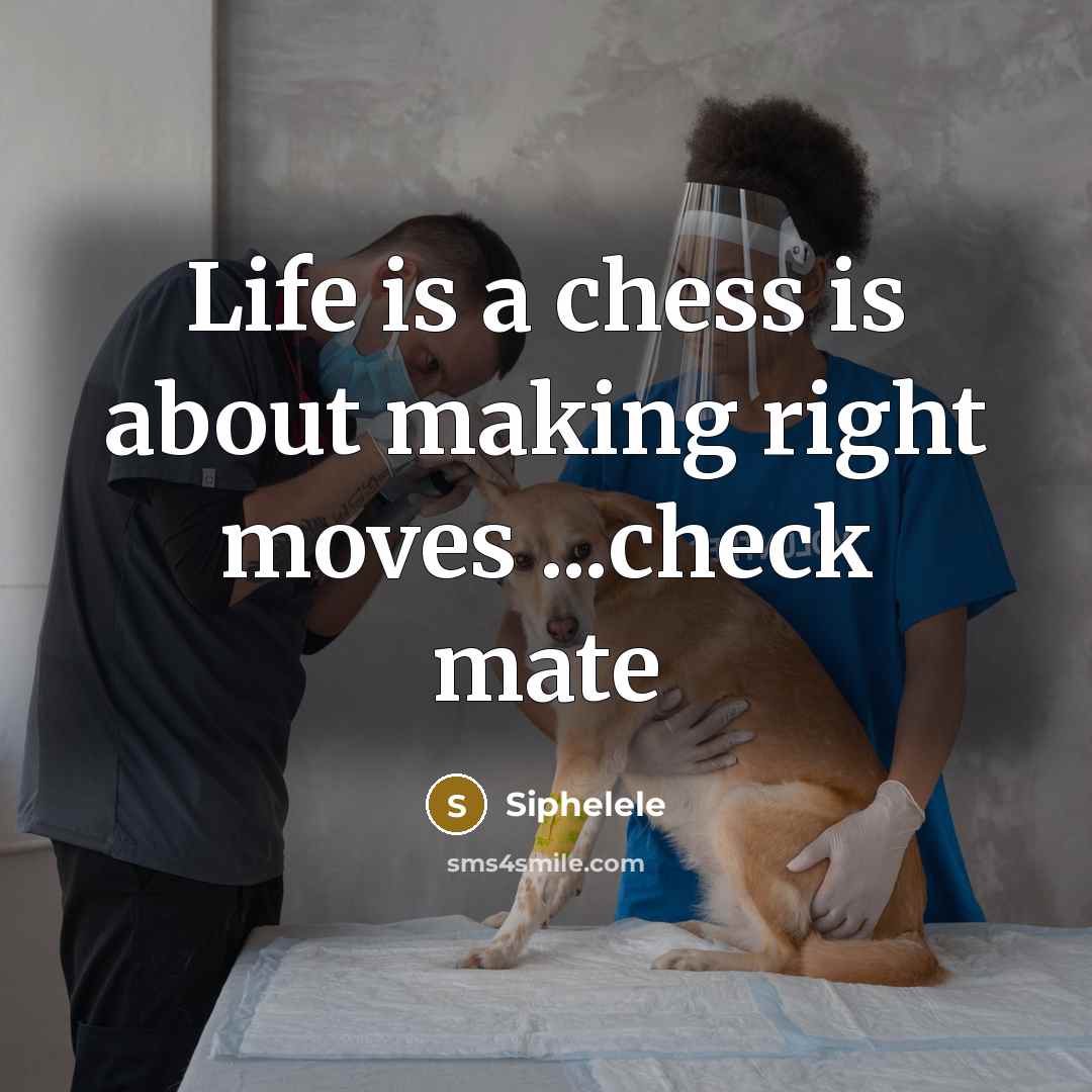 “Life is a chess is about making right moves ...check mate” quote by Siphelele