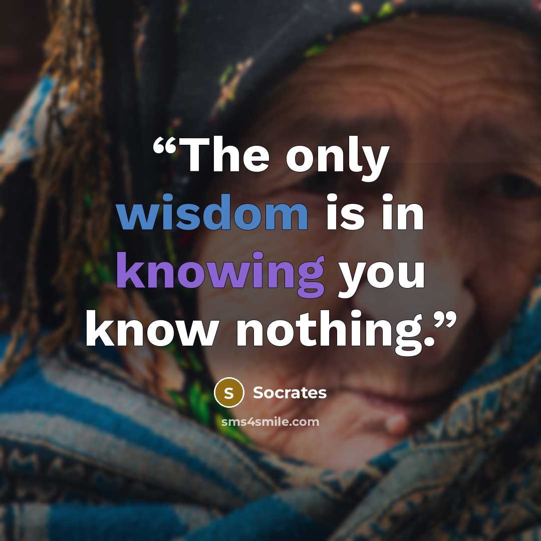 “The only wisdom is in knowing you know nothing.” quote by Socrates