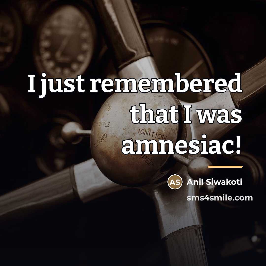 “I just remembered that I was amnesiac!…” quote by Anil Siwakoti