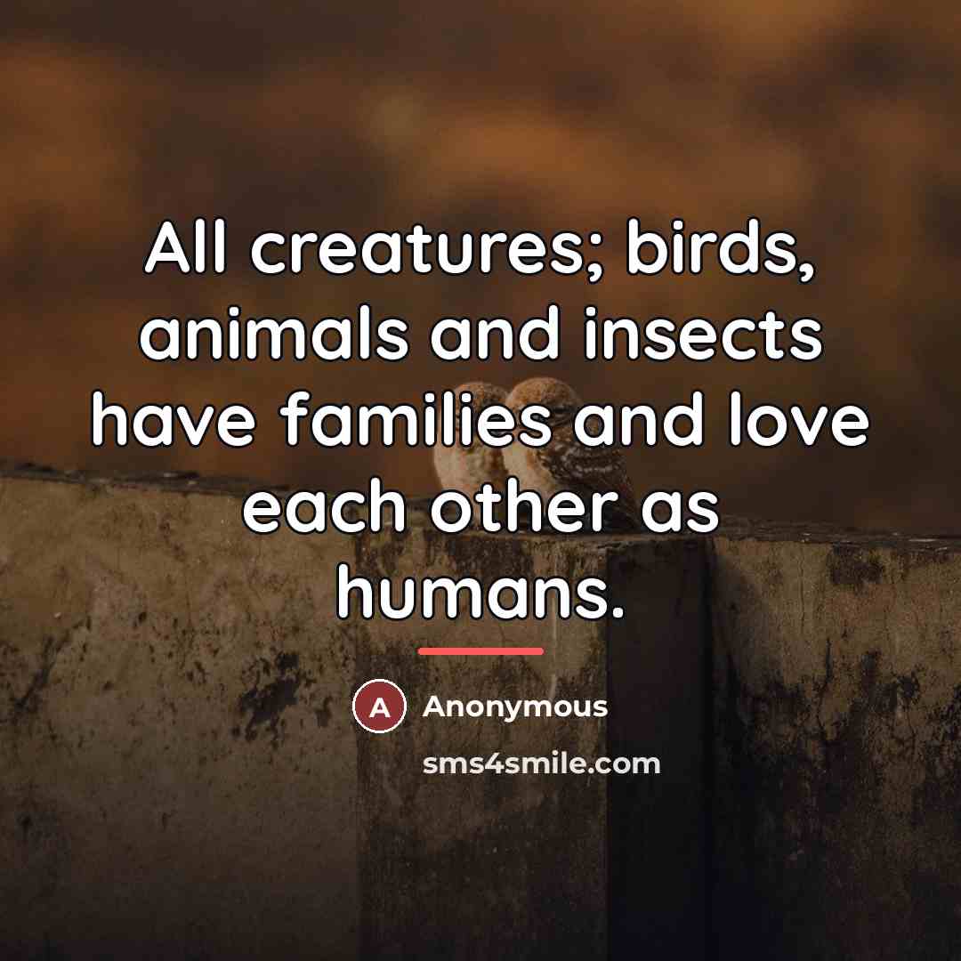 “All creatures; birds, animals and insects have families and love…” quote by Anonymous