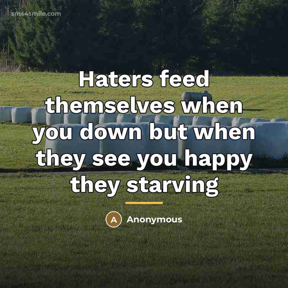 “Haters feed themselves when you down but when they see…” quote by Anonymous