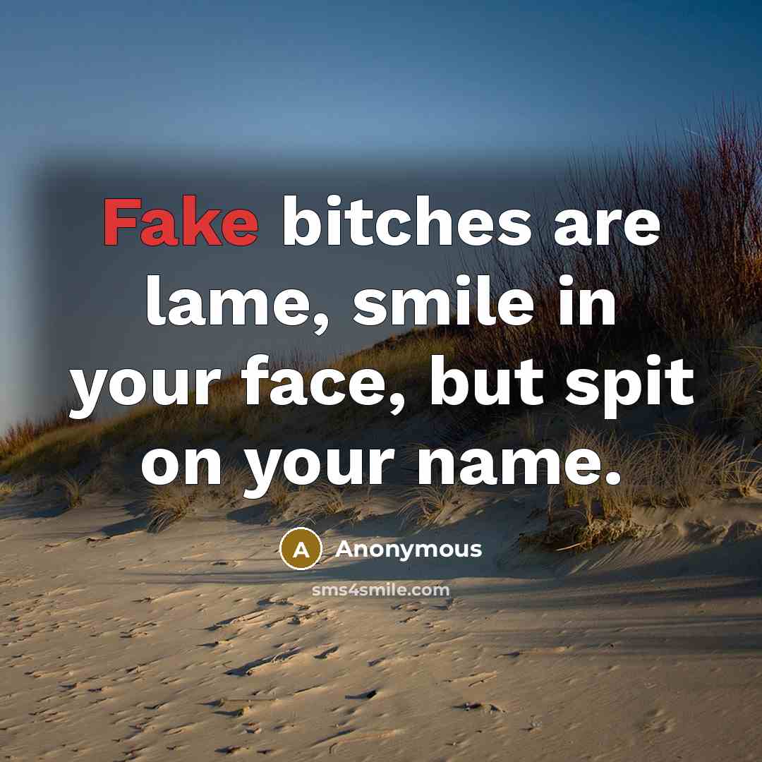 “Fake bitches are lame, smile in your face, but spit on your name.” quote by Anonymous