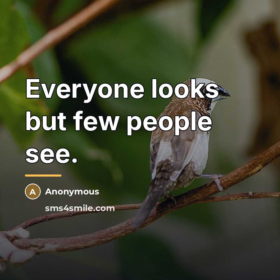 “Everyone looks but few people see.…” quote by Anonymous
