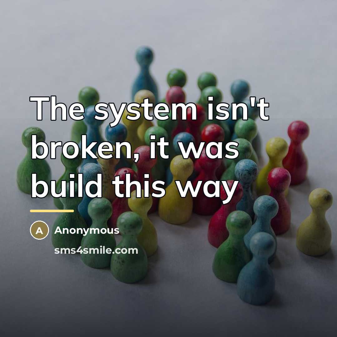 “The system isn't broken, it was build this way…” quote by Anonymous